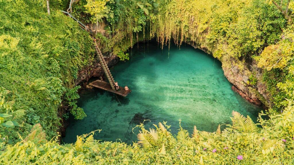 A blue hole in the middle of a lush green jungle.
