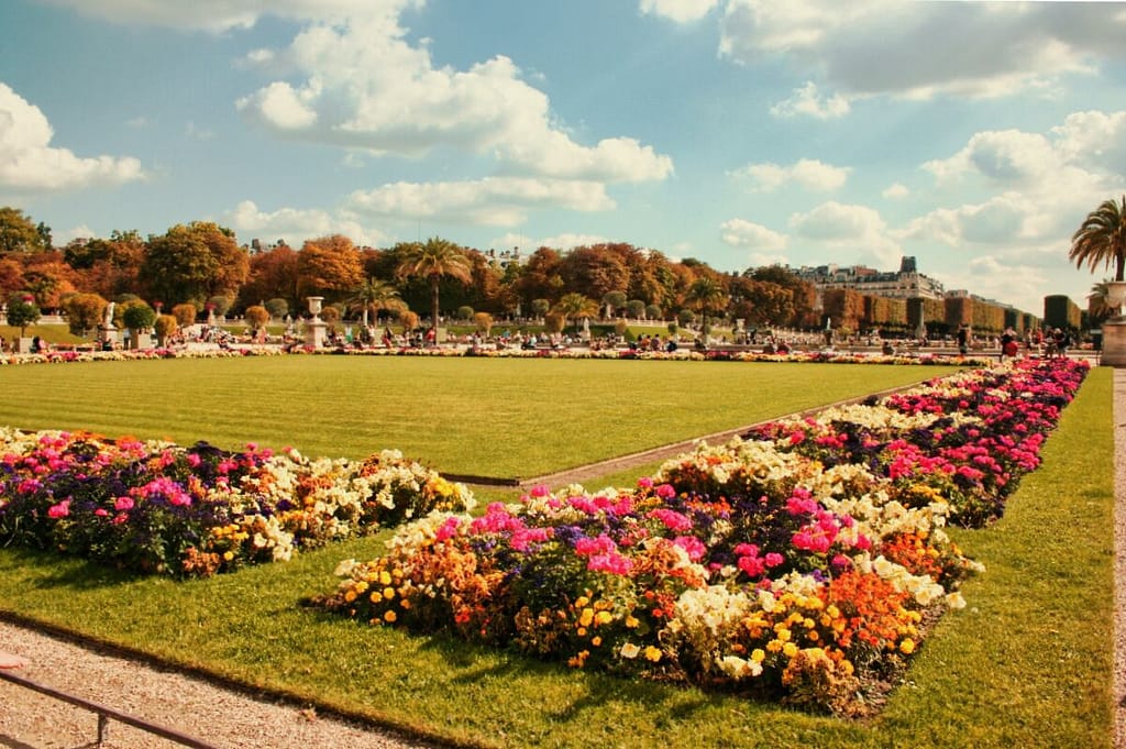 A large garden with flowers in the middle of it.