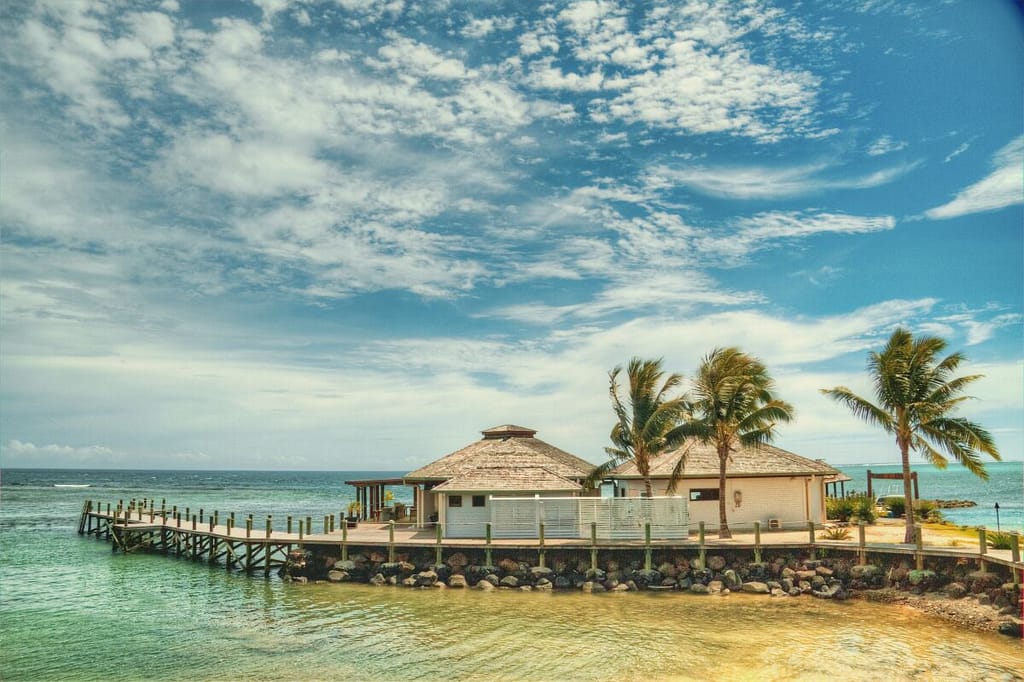 A wooden pier with palm trees on the water.