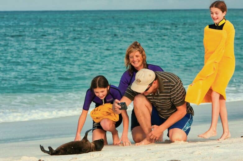 A group of people on a beach with a sea lion.